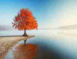 seo技﻿术‍怎‌么‌学﻿